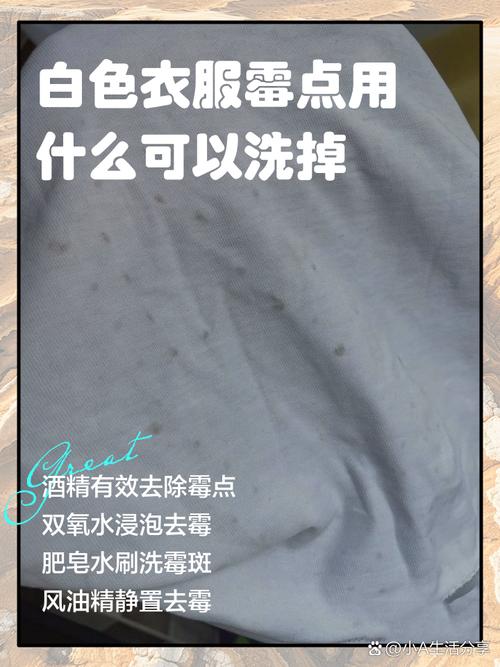 如何去除衣服上的霉斑?