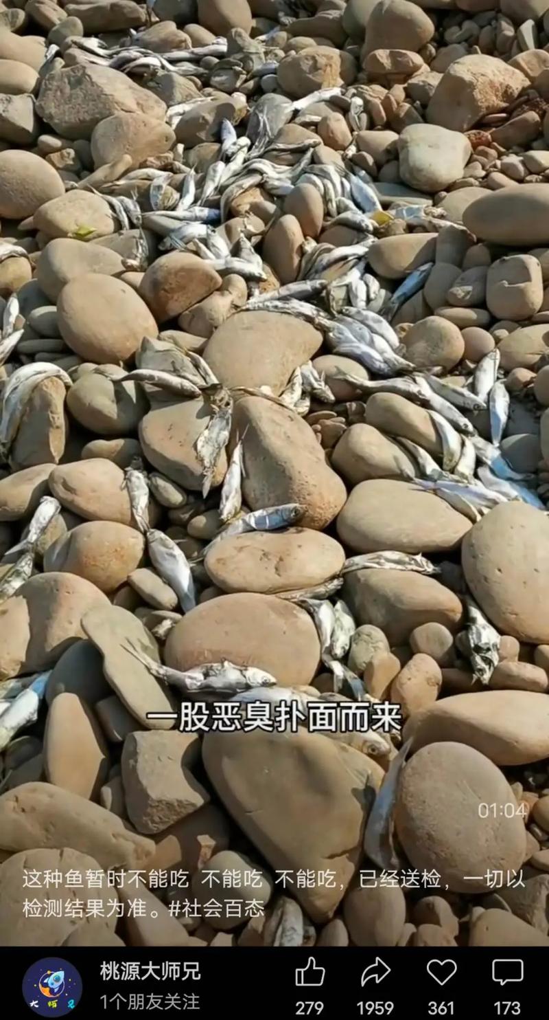 为什么海水鱼到淡水里会死亡？