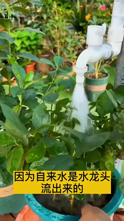 为什么不能用开水直接浇花？
