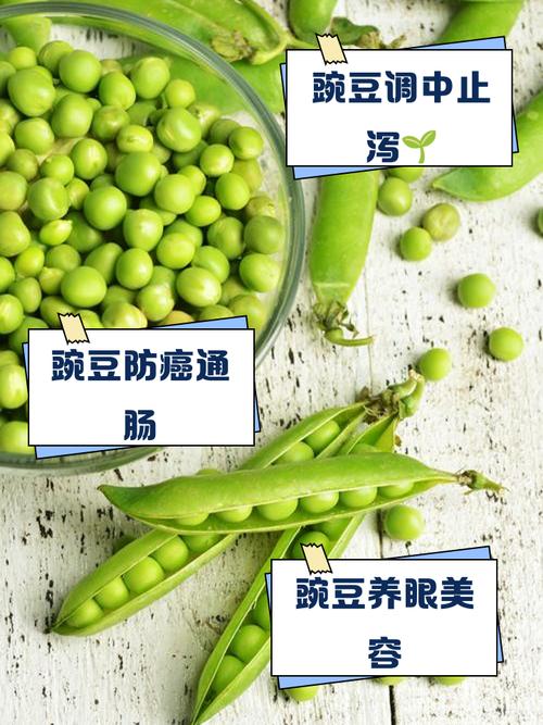 如何挑选新鲜的豌豆粒状食材原料？