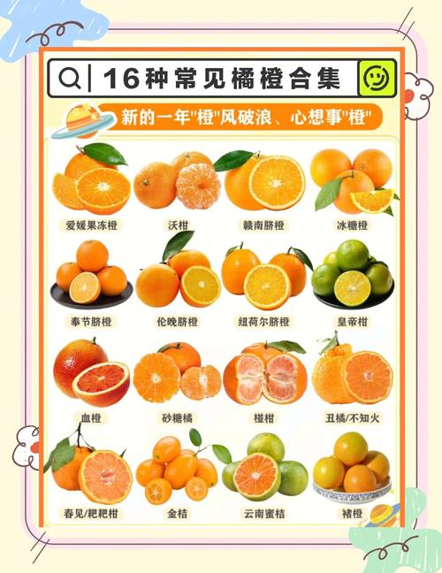 怎样挑选新鲜的酸橙？