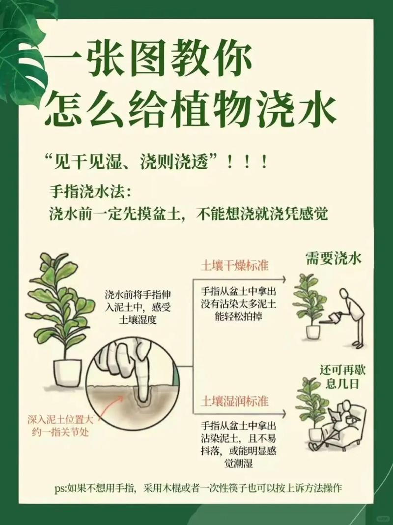 为什么不能用硬水浇花？