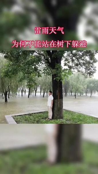 为什么打雷时不能站在大树下？