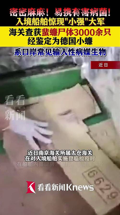 蟑螂喷雾后尸体为何会消失?