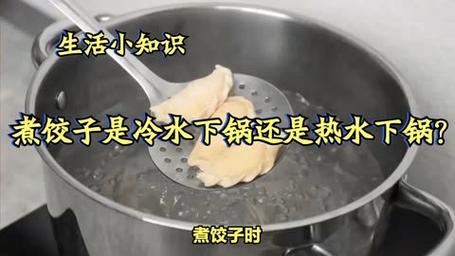 煮饺子为何要加冷水？传统智慧背后的科学原理