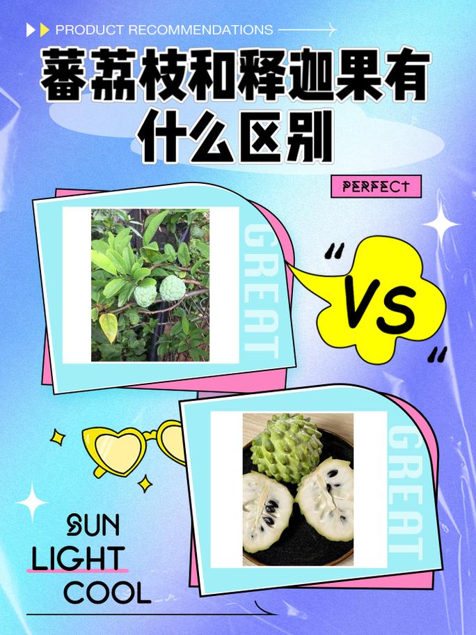 怎样挑选新鲜的番荔枝？