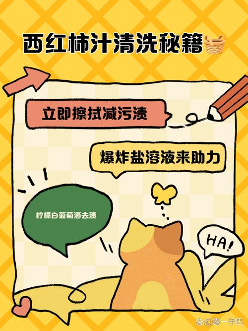 怎样去除衣服上的番茄汁渍？