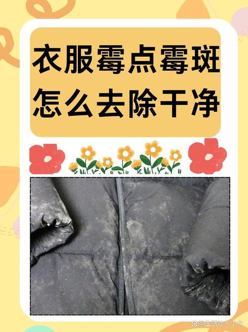 如何去除衣服上的霉点？