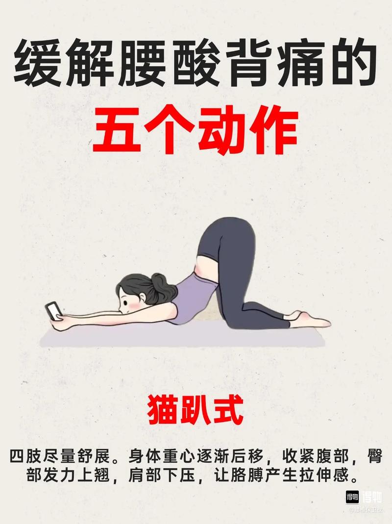 如何缓解背部酸痛不适？
