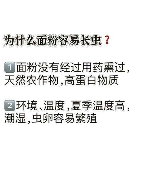 怎样储存面粉防止生虫发霉？