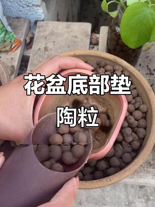 花盆漏水怎么办？碎瓦片垫盆底 + 铺陶粒
