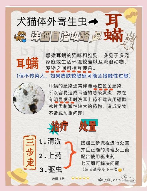 为什么冬天要给宠物检查耳朵健康？