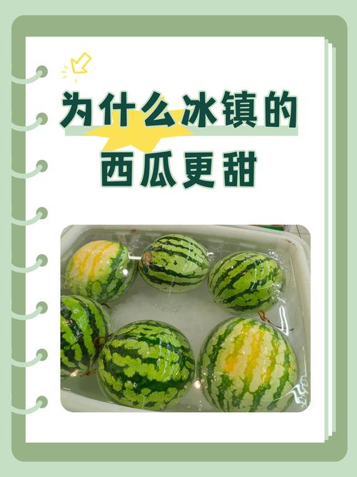 西瓜冰镇后更甜?温度对糖分感知影响实验