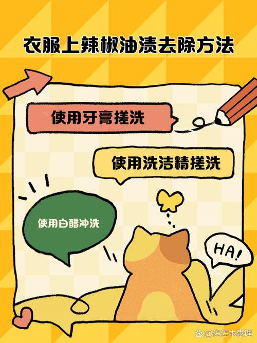 怎样去除衣服上的辣椒酱顽固残渍?
