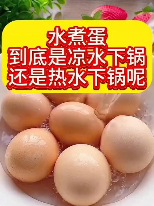 煮鸡蛋冷水下锅还是热水的终极答案