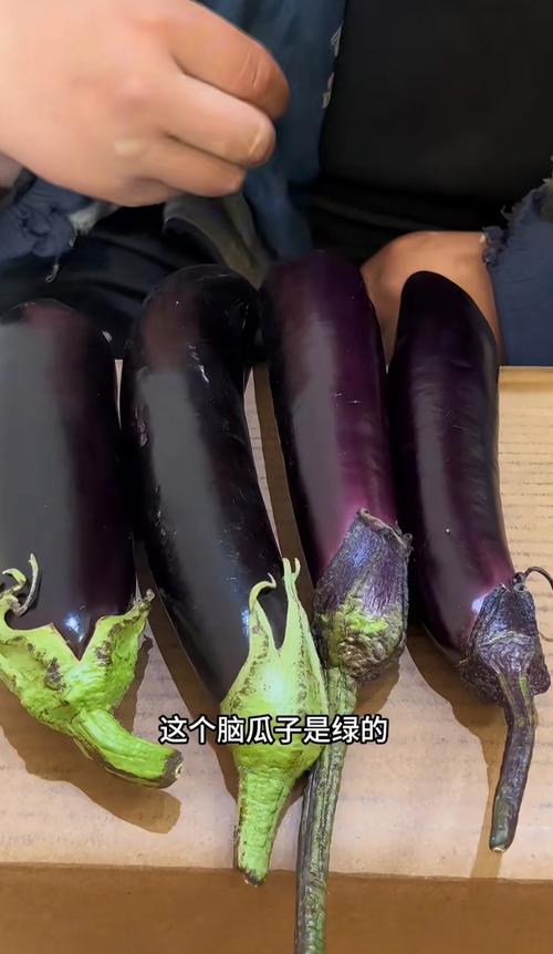 如何挑选新鲜的茄子？