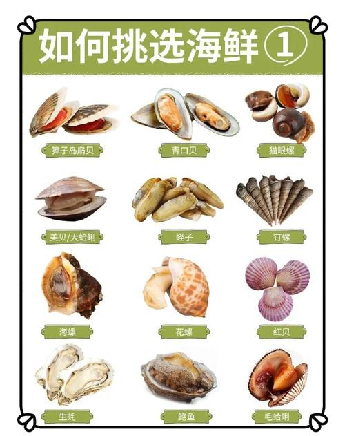 怎样挑选新鲜的海鲜？