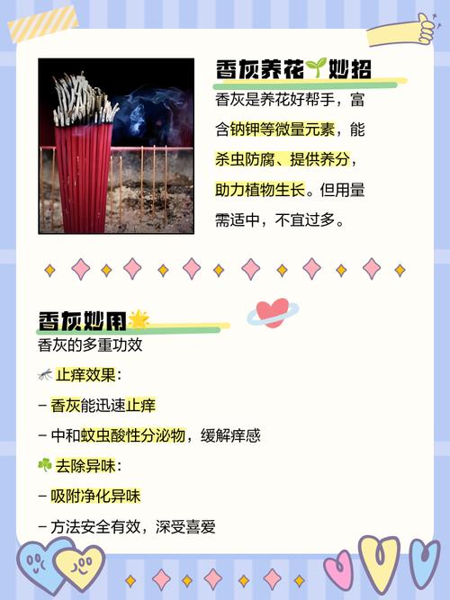 蚊香灰养花的意外功效