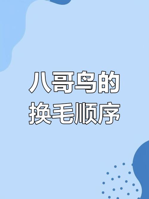 为什么鸟会有羽毛？
