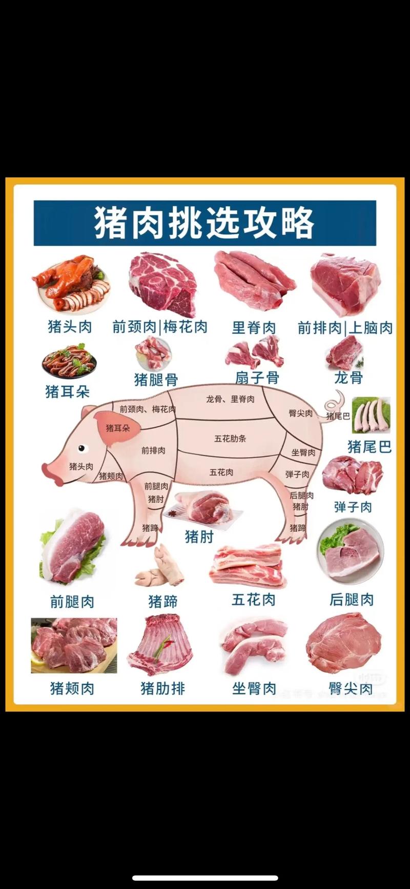 怎样挑选新鲜的猪肉？