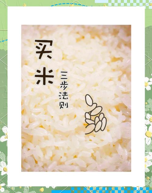 教你挑选优质大米的实用方法