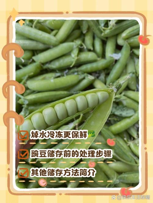 如何挑选新鲜的豌豆粒？
