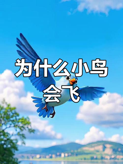 为什么鸟会飞？