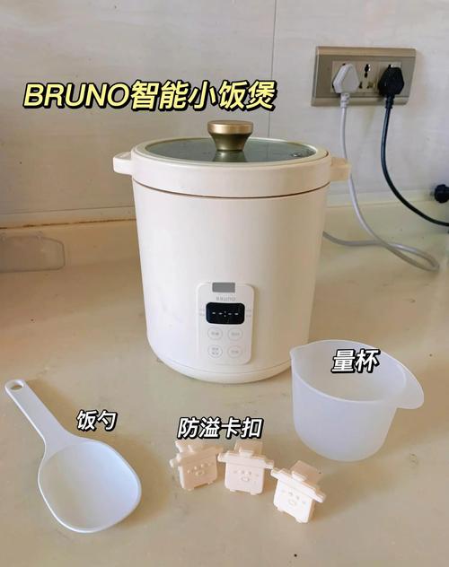 如何正确使用电压力锅煮米饭?