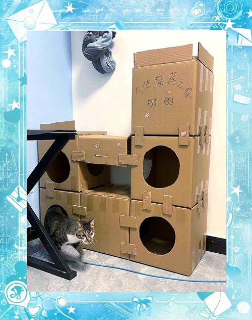 快递纸箱改造猫窝：零成本让主子满意