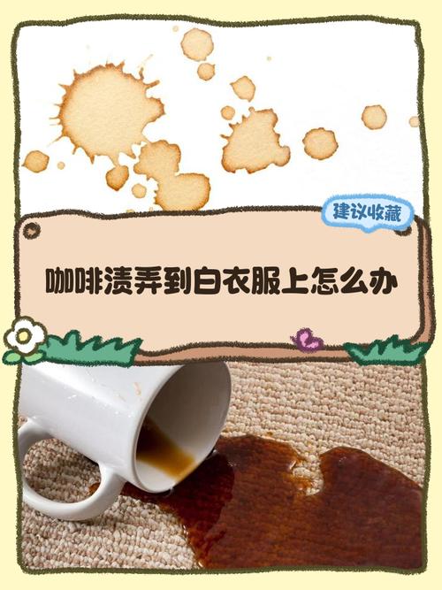 衣服上的咖啡渍怎么去除?