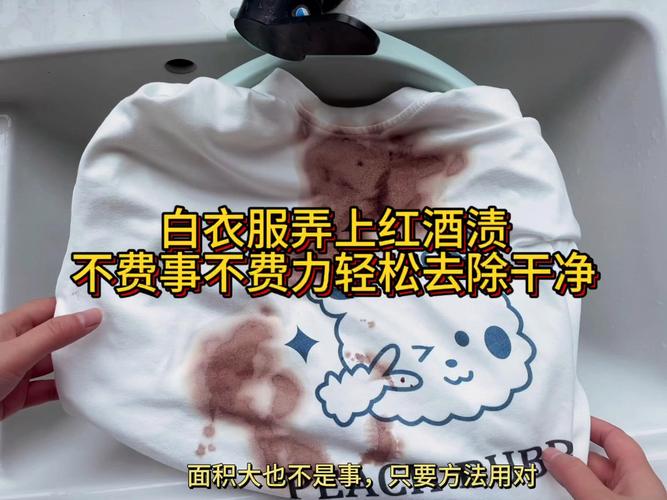 衣服上的红酒渍怎么去除?