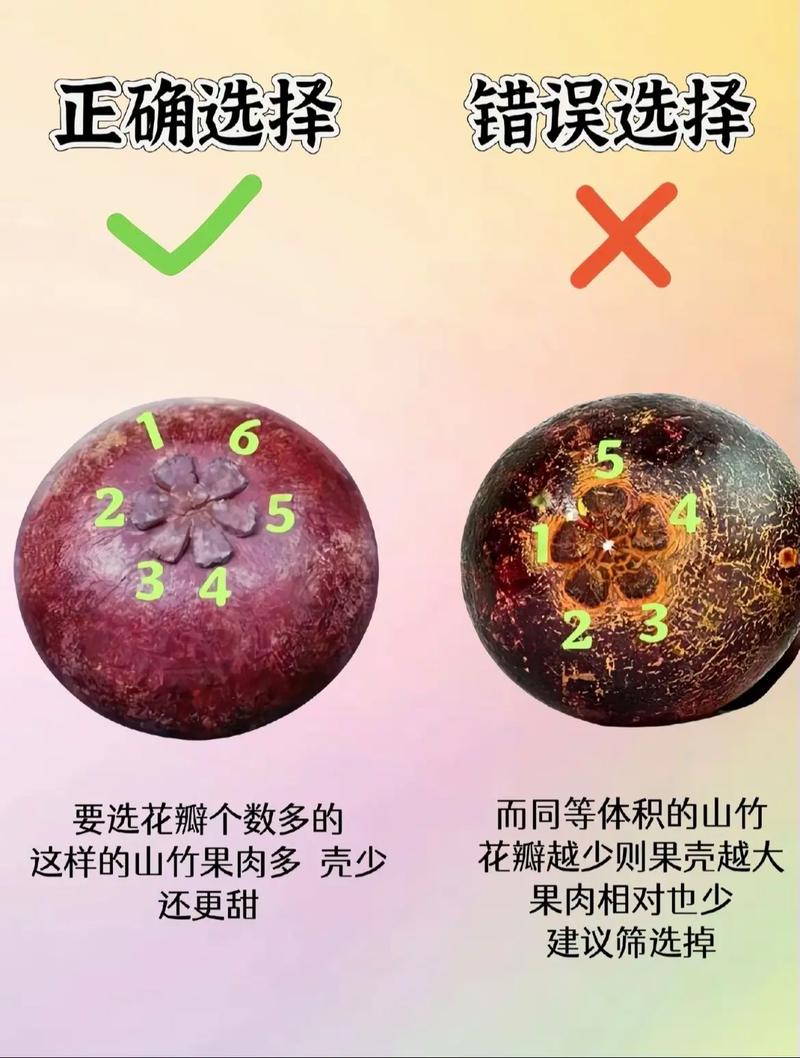 怎样挑选新鲜的山竹？