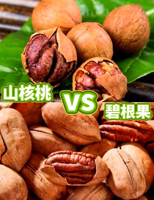怎样挑选新鲜的山核桃？
