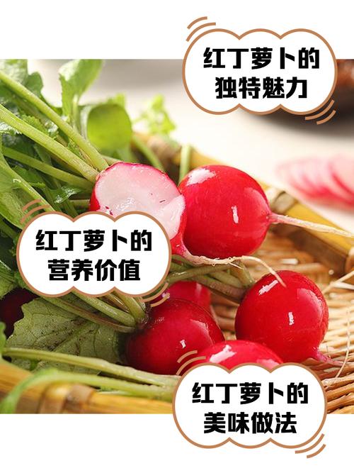 如何挑选新鲜的速冻胡萝卜丁？