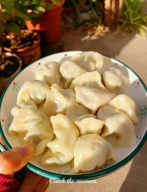 煮饺子不粘锅的终极奥秘，大厨都夸专业