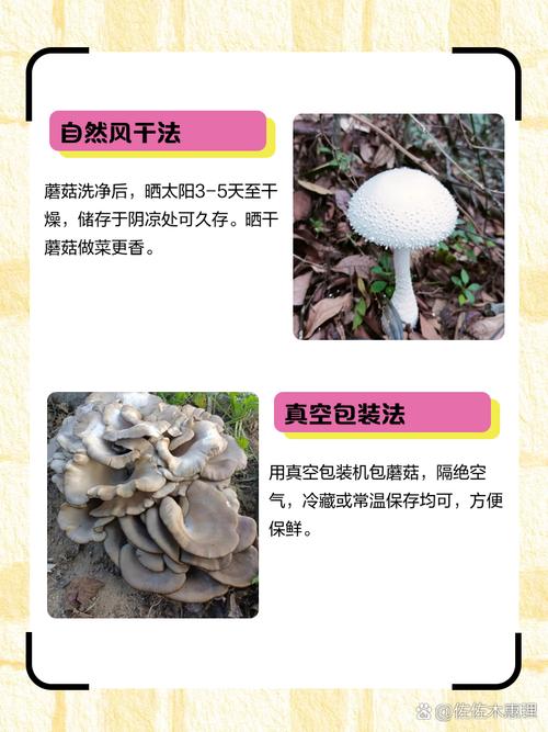 教你挑选新鲜蘑菇的独家诀窍