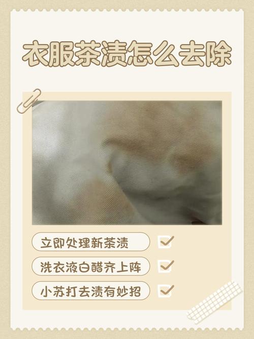 衣服上的茶渍怎么清洗?