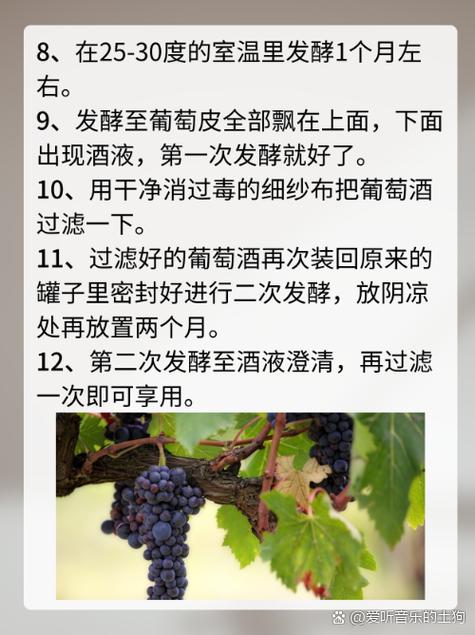 教你挑选新鲜葡萄的「果粒紧凑度测试」