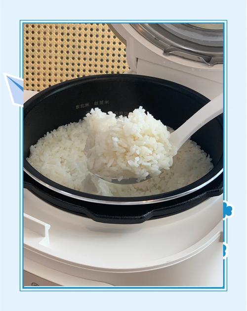 煮米饭时加玉米油的防粘锅秘诀