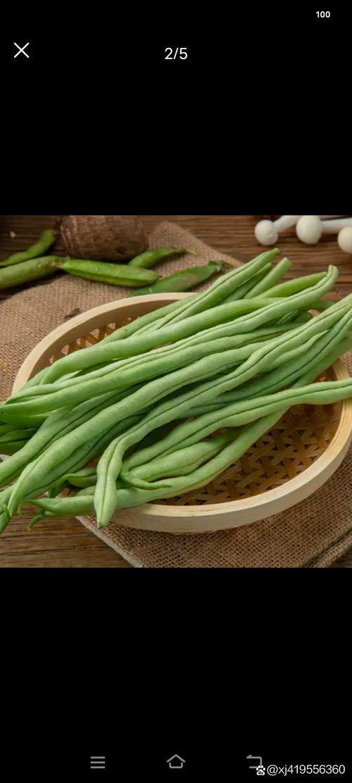如何挑选新鲜的豆角？