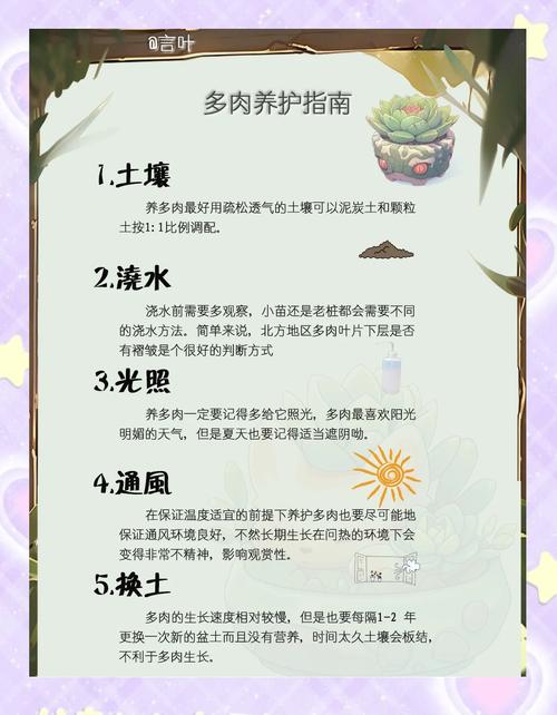 多肉植物徒长怎么办？增加光照 + 控制浇水