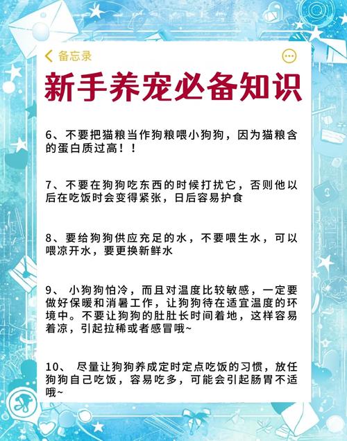 养宠人才懂的十个生活小窍门