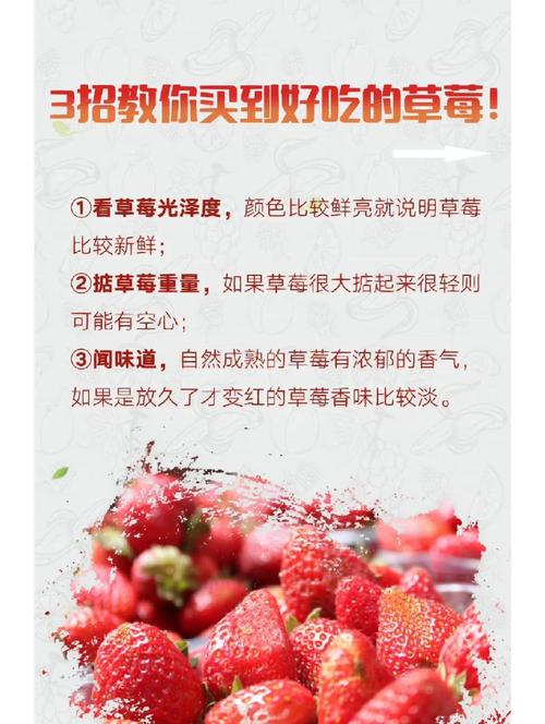 教你挑选新鲜草莓的 3 个秘诀