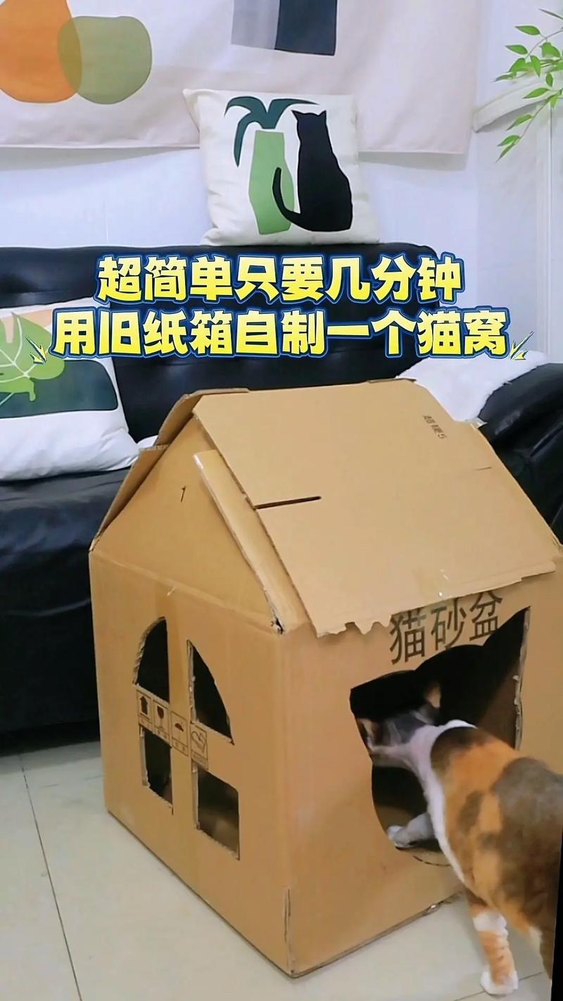 旧纸箱如何利用？DIY 收纳盒或猫抓板