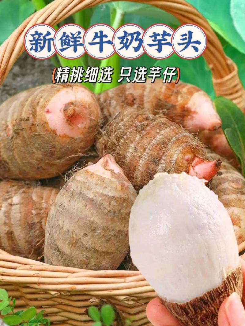 如何挑选新鲜的速冻芋头？