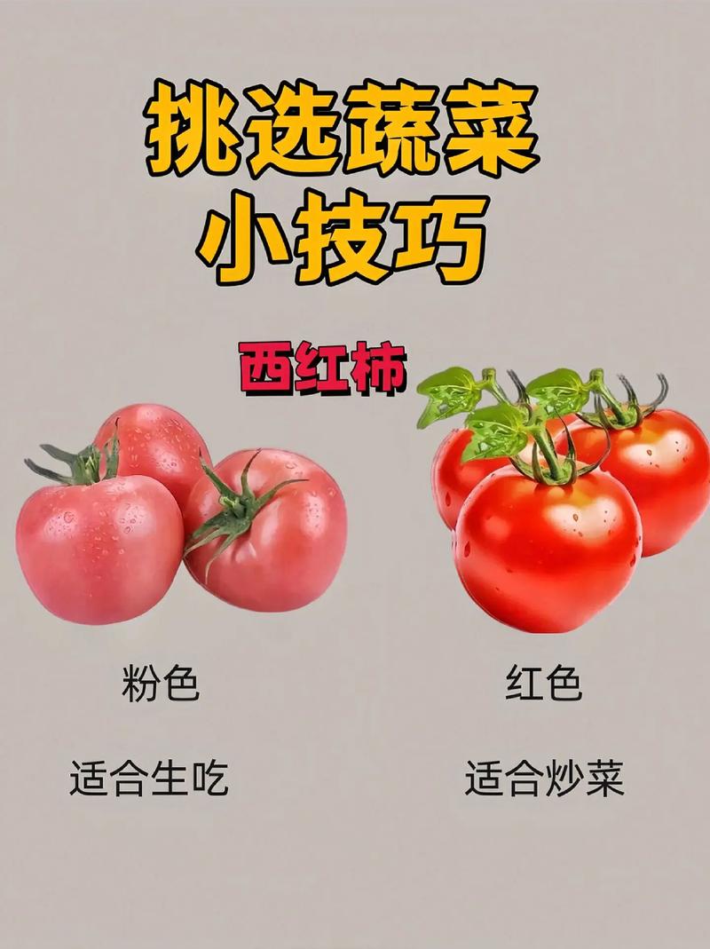 怎样挑选新鲜的蔬菜？
