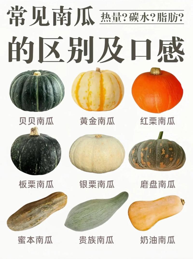 如何挑选新鲜的南瓜块状？