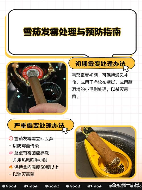 怎样去除衣服上的雪茄陈列味？