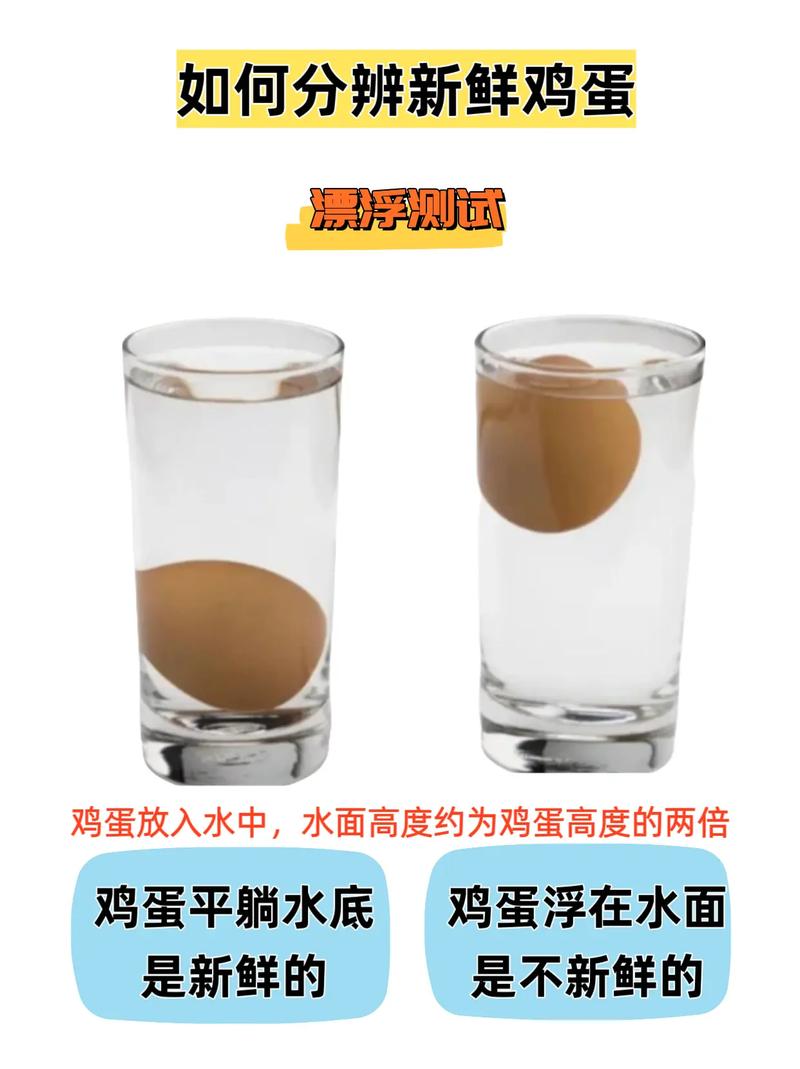 如何判断鸡蛋是否新鲜？