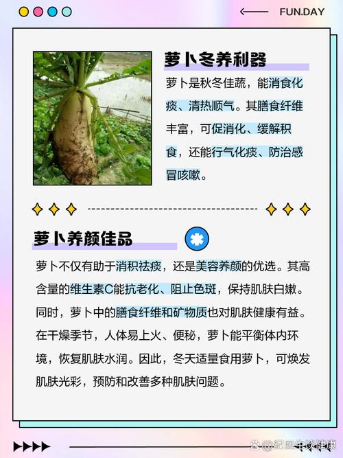 为什么冬天要多吃萝卜?
